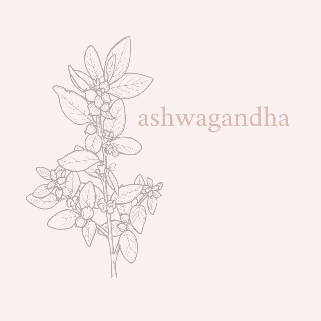 Podcast: Ashwagandha - A Nervous System Tonic | with Angela Hywood