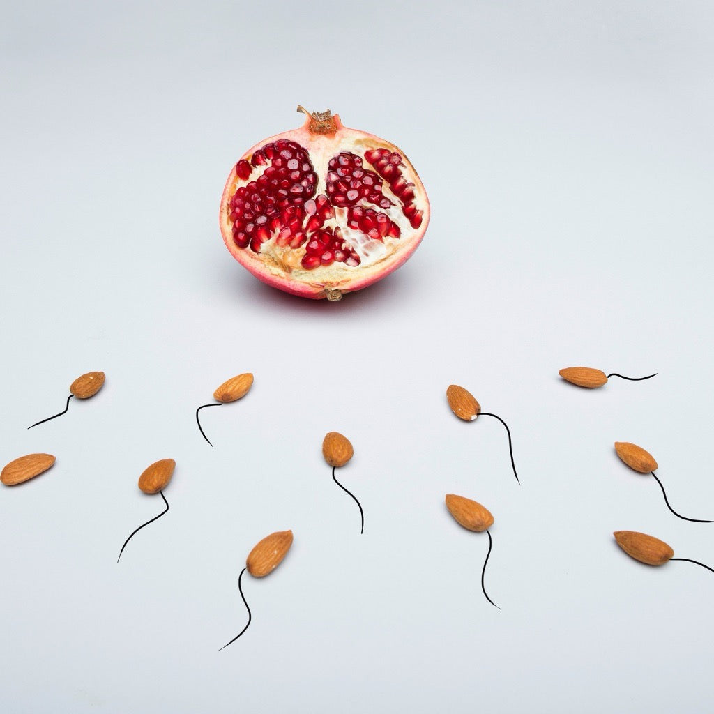 Increasing Sperm Count