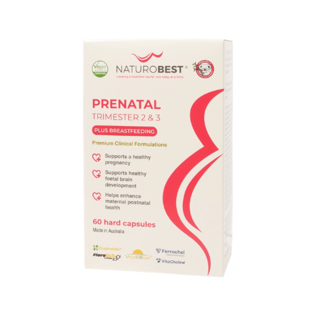 Prenatal Trimester 2 & 3