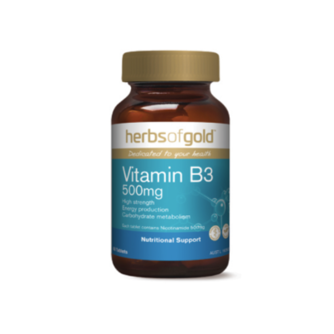 Vitamin B3 500mg 60t